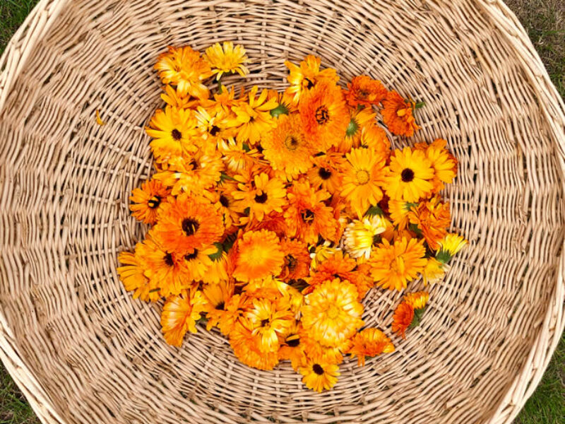 shutterstock_1508739683.jpg